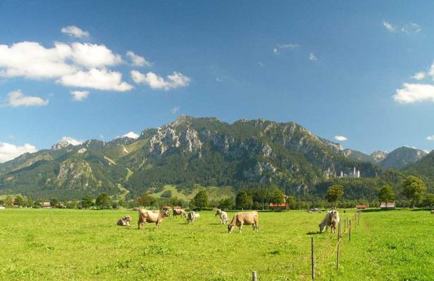 Jaegerhof Und Jaegerstadel Schwangau Exteriér fotografie